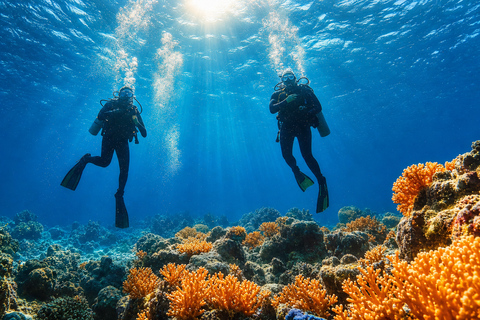 Khao Lak: Similan and Surin Daytrip 2 dives + Hotel Transfer Friday Option — Richelieu Rock