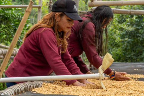 FROM BOGOTA: Coffee Tour in Choachí, An Authentic and Aromatic Adventure.