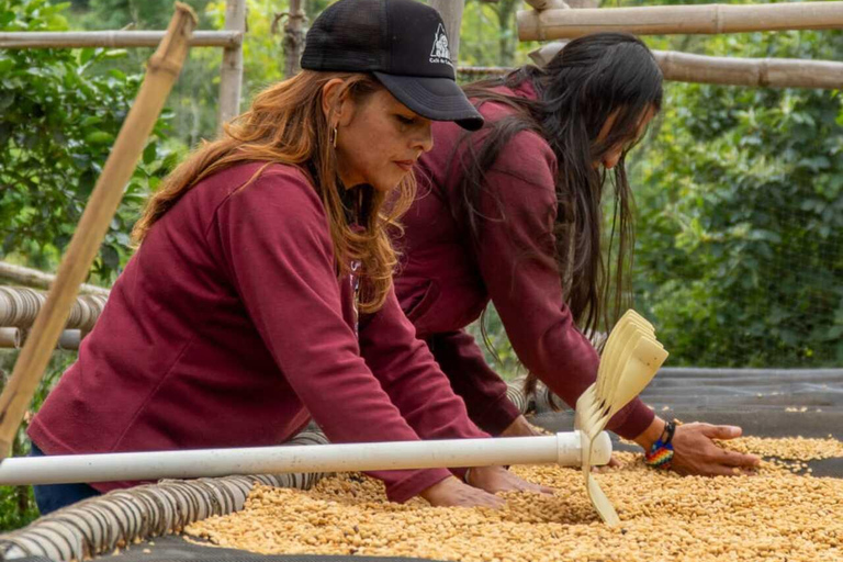 FROM BOGOTA: Coffee Tour in Choachí, An Authentic and Aromatic Adventure.