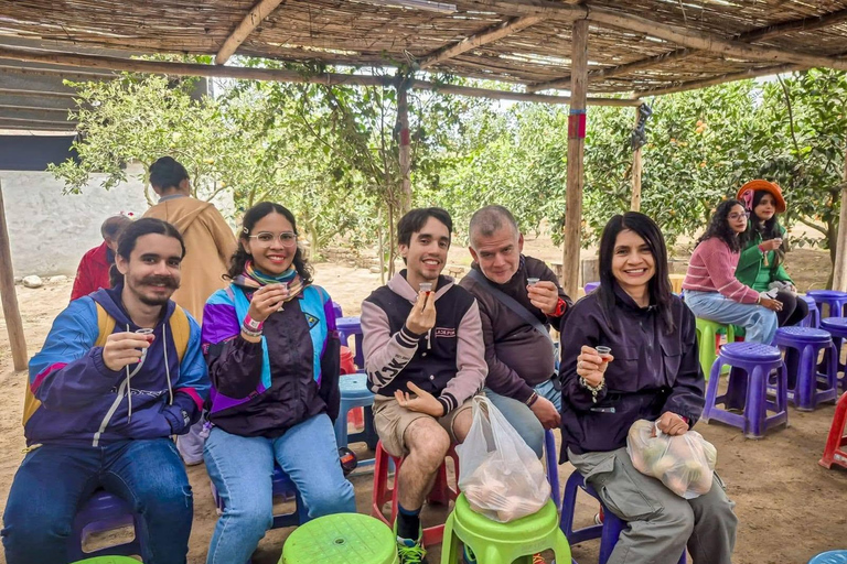 From Lima: Eco Truly Park, Chancay Castle, & Huaral Tour