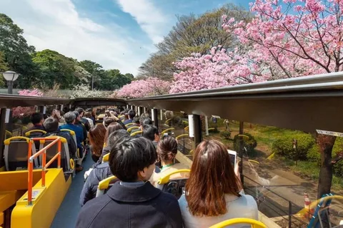 Tokyo : Bus touristique à toit ouvert avec audioguide