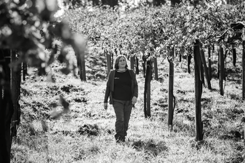 Galicia: Bodega Corisca Winery Tour and Wine Tasting