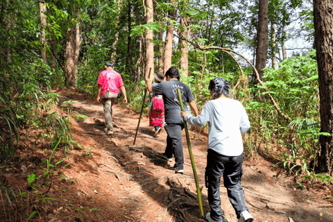 Chiang Mai: Excursão e caminhada ao Doi Inthanon e ao santuário de elefantes