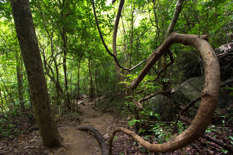 Chiang Mai: 3-Day Karen Hill Tribe Immersion with Trekking