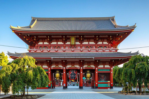 Tokyo: Private Luxury Day Tour with Hotel Pickup and DropOff