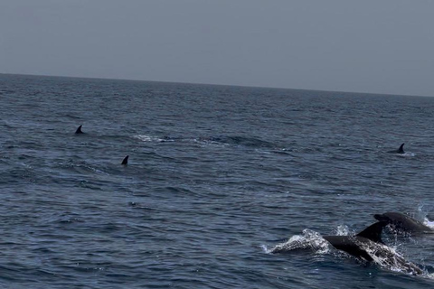 Muscat: Qantab Boat Trip with Dolphin Watching & Snorkeling