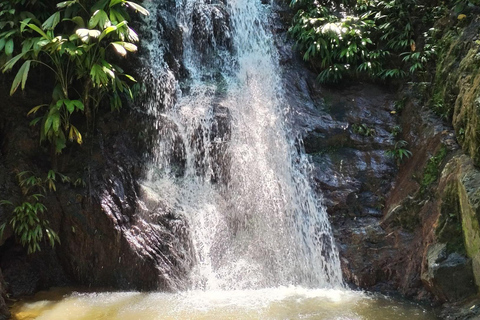 Minca: Cascada escondida + Taller de Café y Cacao y Mirador