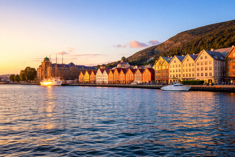 Bergen: Hidden Gems Premium Minibus Tour with Scenic Views