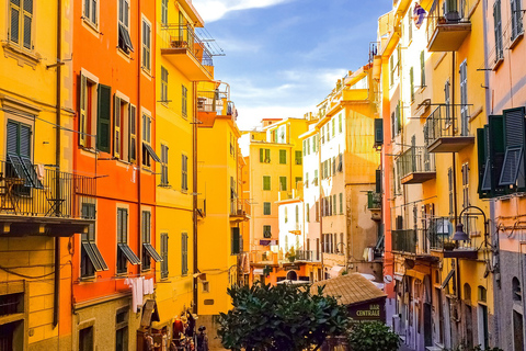 Pisa och Cinque Terre från kryssningshamnen i Livorno