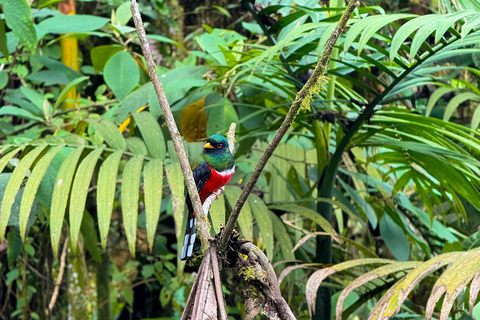 Quito: 2-Day Cloud Forest Experience
