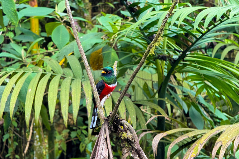 Quito: 2-Day Cloud Forest Experience