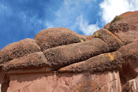 Z Puno: Wycieczka do Chucuito, Molloco i Aramu Muru