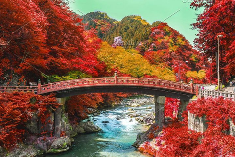 Tokyo:Nikko/Lake Chuzenji & Kegon Falls Scenic Day Trip