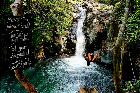 Bali : Ultimate Waterfall Tour (All Inclusive & Private)