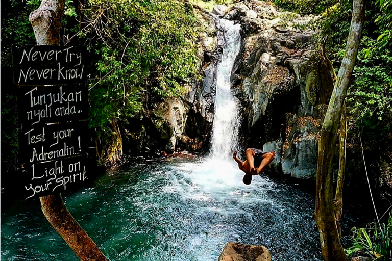 Bali : Ultimate Waterfall Tour (All Inclusive & Private)