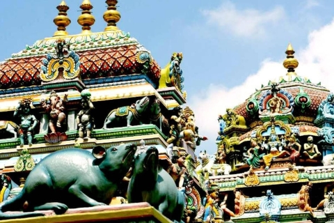 Tamilnadu, Kerala & Karnataka mit 5-Sterne-Hotels!