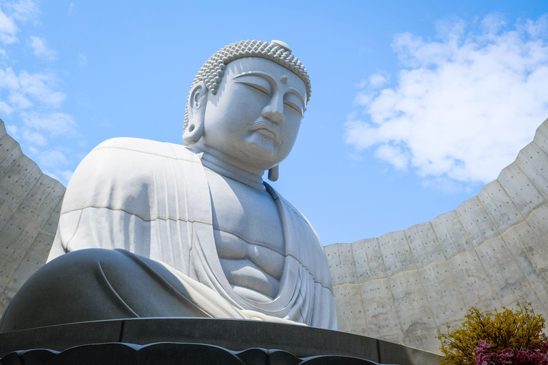 From Sapporo: Otaru and Hokkaido Shrine Day Trip Shared Tour, Meet at Sapporo Station