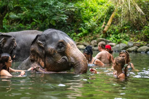 Khao Lak: Elephant Camp, Bamboo Rafting, and Waterfall Tour