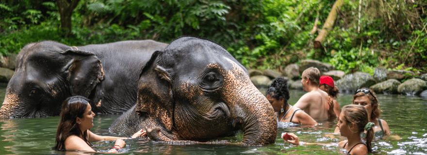 Khao Lak : Camp d'éléphants, rafting en bambou et visite des chutes d'eau