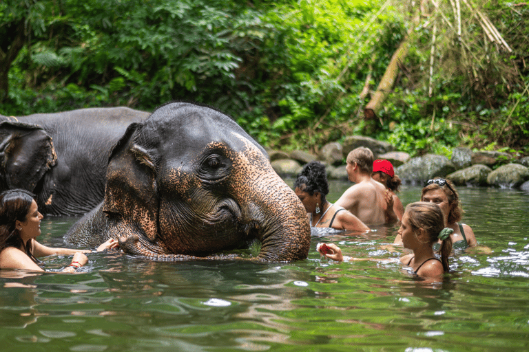 Khao Lak: Elephant Camp, Bamboo Rafting, and Waterfall Tour