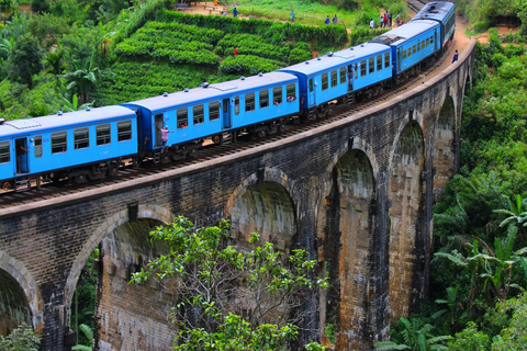 From Trincomalee: 2 days Private tour to Hill Country Ella