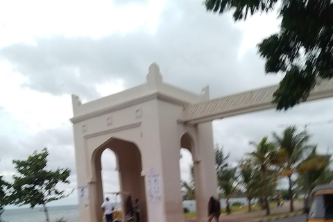 Mombasa: Private City Tour with street food and Haller Park