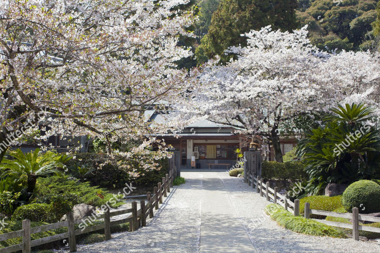 From Tokyo: Yokohama Chinatown and Sankeien Garden Tour