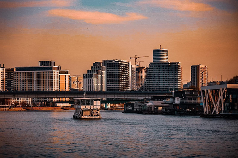 Cruise in Belgrade: Sava and Danube River Cruise with Views