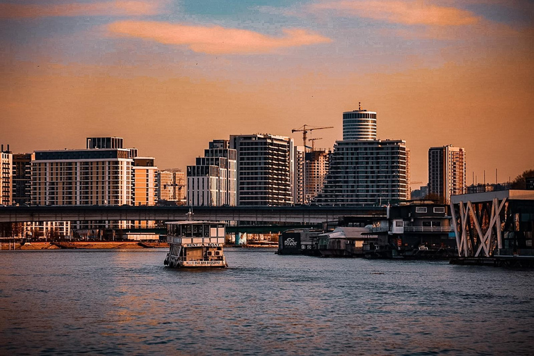 Cruise in Belgrade: Sava and Danube River Cruise with Views