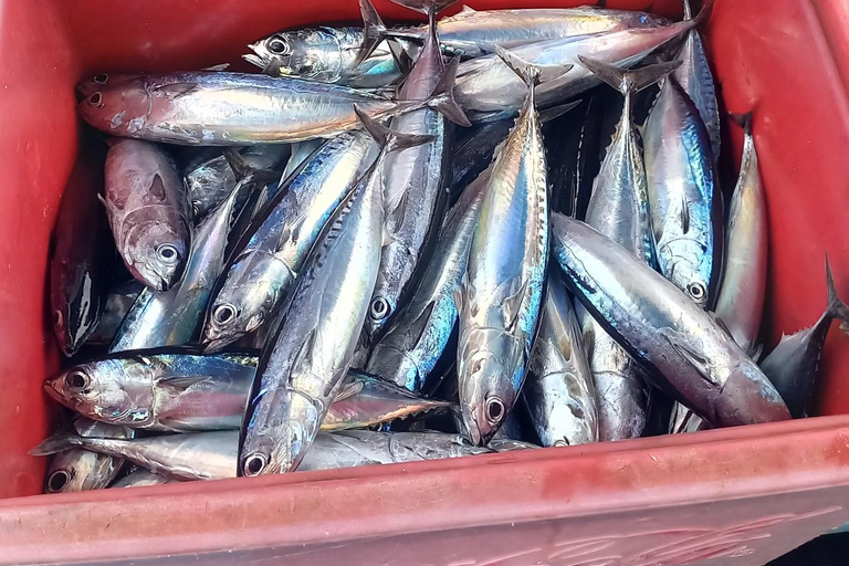 Bali : Pesca em barco particularBali: Pesca Charter Barco privado no ponto de encontro e refeições.