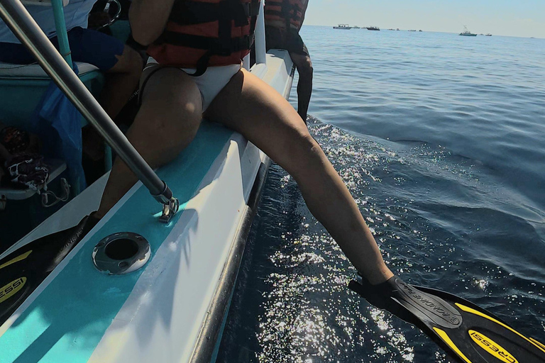 Protected natural reserve: Whale Shark Aqua Safari