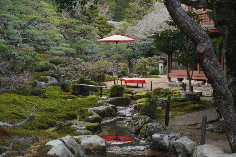 A Serene Private Day Trip by Car from Kyoto to Lake Biwa Kyoto Station Meeting Point