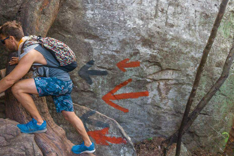 Depuis Colombo : Excursion d&#039;une journée à Dambulla et à l&#039;escalade du rocher de Pidurangala