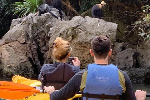 From Hanoi: Lan Ha Bay | Kayaking, Sightseeing, Cruise Trip From Hanoi: Lan Ha Bay | Kayaking, Sightseeing, Cruise Trip