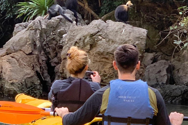 From Hanoi: Lan Ha Bay | Kayaking, Sightseeing, Cruise Trip From Hanoi: Lan Ha Bay | Kayaking, Sightseeing, Cruise Trip