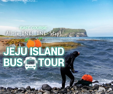 Jeju Island: Full-Day East Jeju Bus Tour with Entry Fees