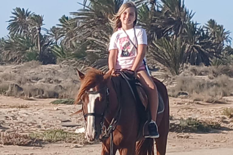 Djerba: attraversamento della laguna a cavallo al tramontoDjerba: Attraversa la laguna a cavallo al tramonto