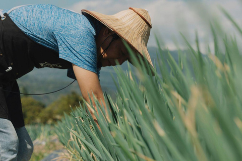 تايوان: جولة جزيرة خاصة لمدة 10 أيام مع فنادق 5 نجوم