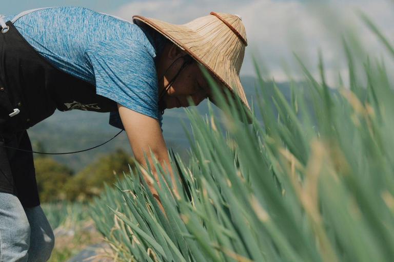 تايوان: جولة جزيرة خاصة لمدة 10 أيام مع فنادق 5 نجوم