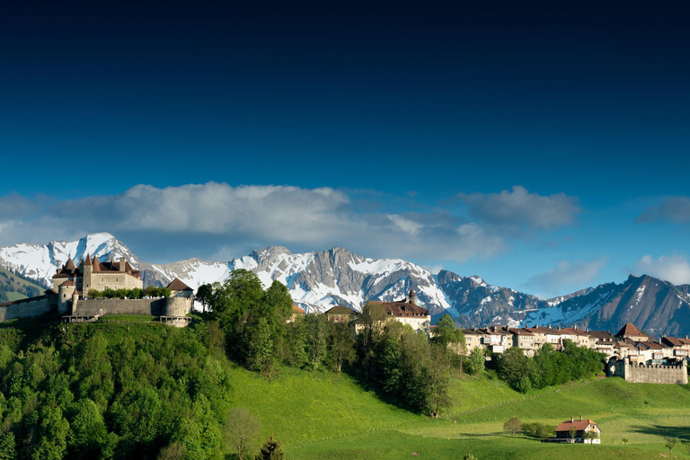 Wycieczka 1-dniowa prywatnym samochodem: Berno do Lozanny, Lavaux i Grueyeres