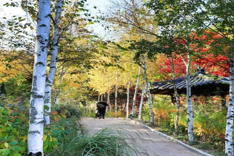 Nami Island+Morning Calm Garden +PetiteFrance_PrivateGuide Nami Island+Garden of Morning Calm+PetiteFrance_PrivateGuide