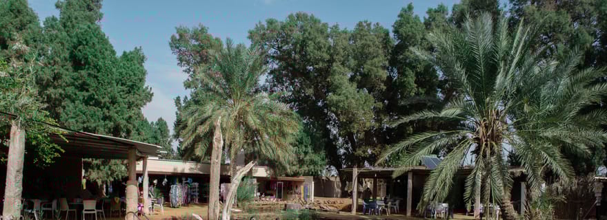 Excursion d'une journée dans le désert tunisien : Ksar Ghilane et Tataouine