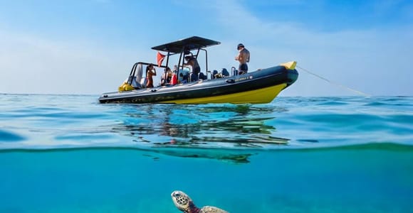 Honolulu: Turtle Snorkel Tour on Speed Boat - Small Group