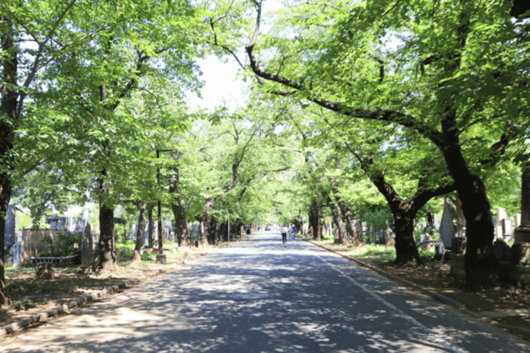 Tokyo: Old Tokyo Walk with Yanaka Retro Street & Nezu Shrine