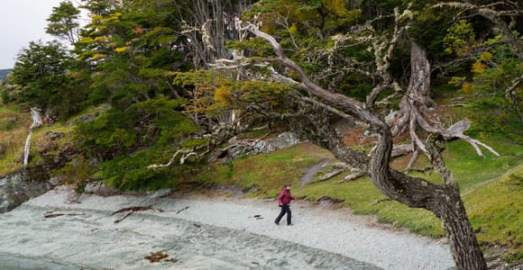 Tierra del Fuego National Park by Hike – Nature and Small Groups