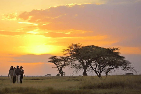 Os melhores 5 dias no Parque Nacional do Serengeti