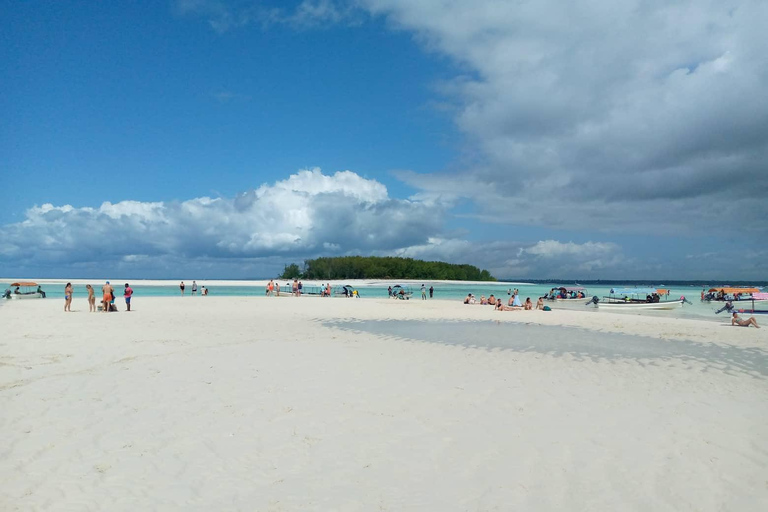 Excursão de meio dia aos golfinhos e mergulho com snorkel em Mnemba (viagem compartilhada)