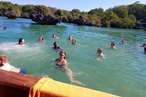 Safari Blue Tour Zanzibar Volledige dag met lunchbuffet met zeevruchten