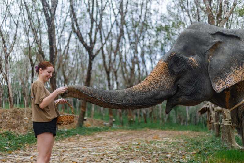 Као Лак: 1-часовое эко-путешествие к слоновьему заповеднику с шаттлом