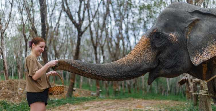 Khao Lak: 1-Hour Elephant Sanctuary Eco-Journey with Shuttle